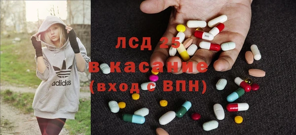 крисы Алзамай