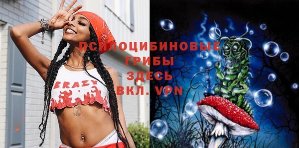 крисы Алзамай