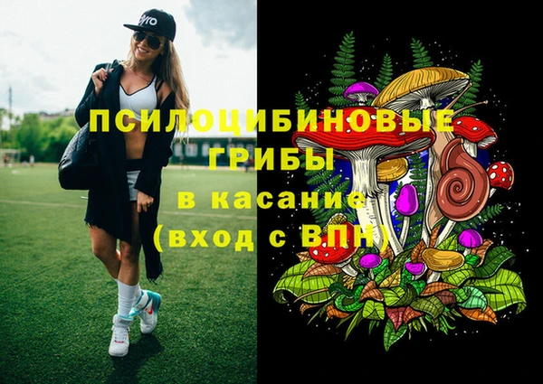 крисы Алзамай
