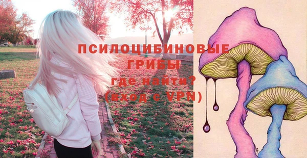 не бодяженный Алексин