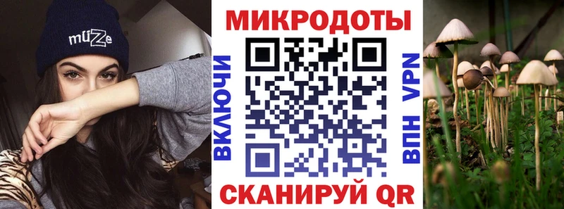 где купить наркоту  Плавск  Галлюциногенные грибы Magic Shrooms 